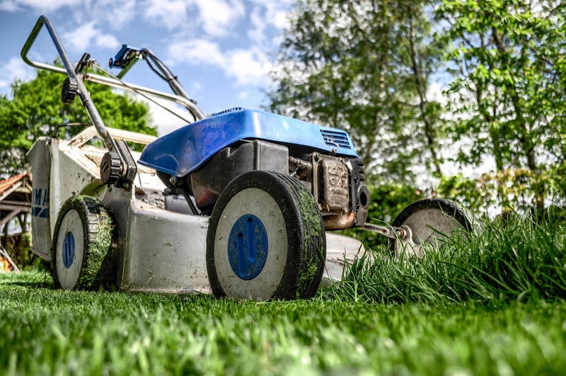 Spring garden preparation